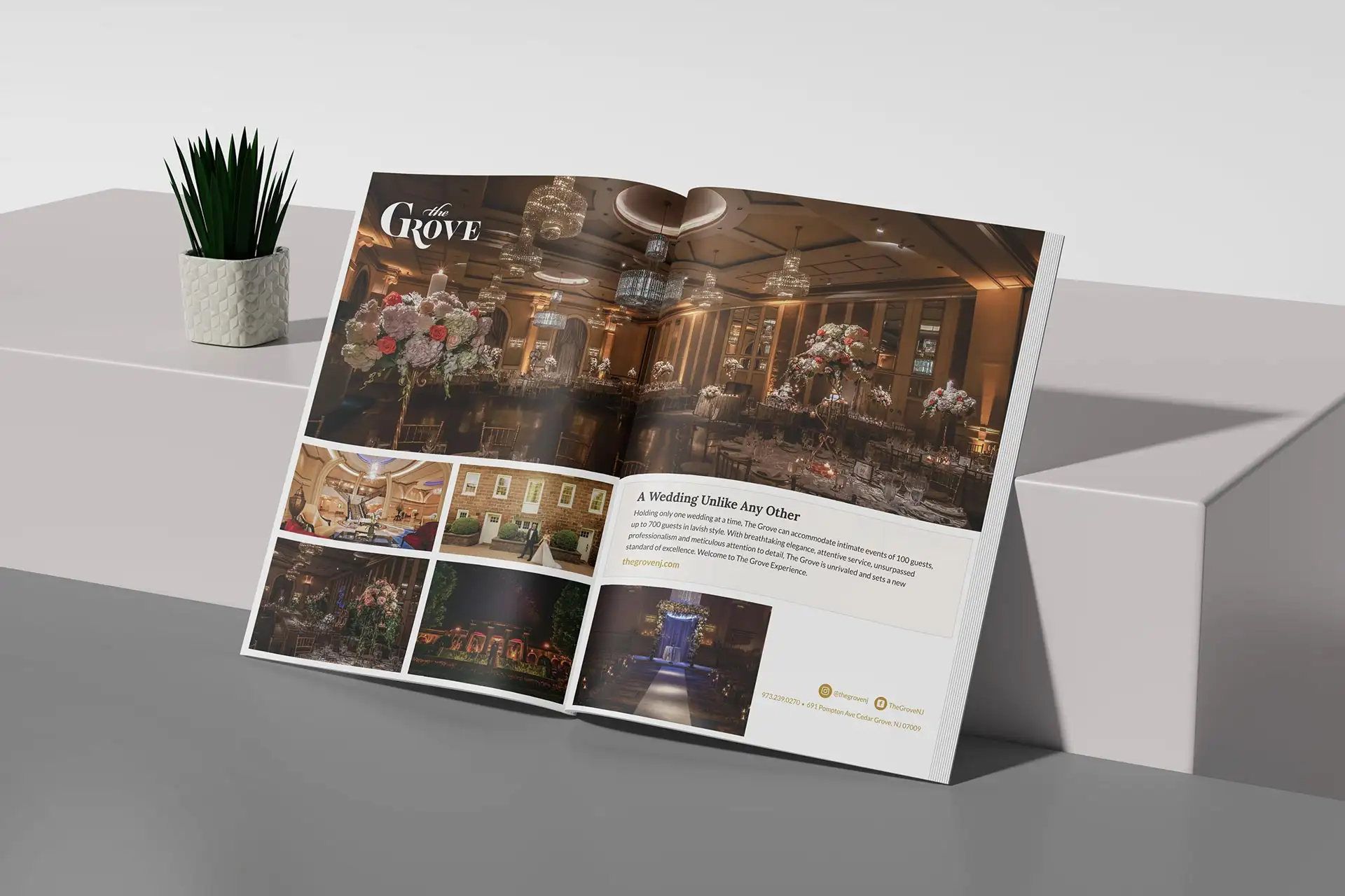 The Grove magazine spread in print